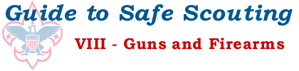 VIII. Guns and Firearms
