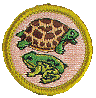 reptile_and_amphibian_study.gif (8284 bytes)