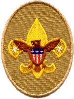 Tenderfoot Rank Patch