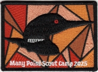 2025 Patch