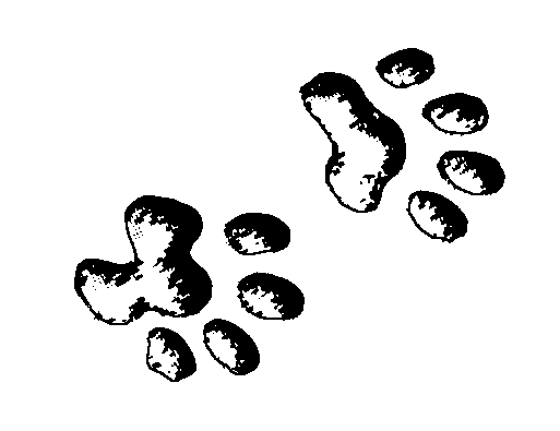 tiger tracks clip art - photo #26