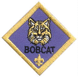 Cub Scout Outdoor Activites Patch